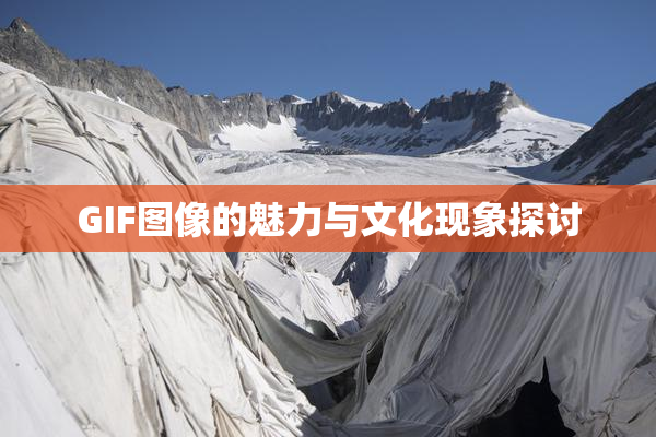 GIF图像的魅力与文化现象探讨