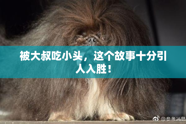 被大叔吃小头，这个故事十分引人入胜！