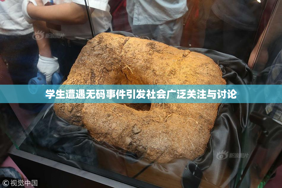 学生遭遇无码事件引发社会广泛关注与讨论
