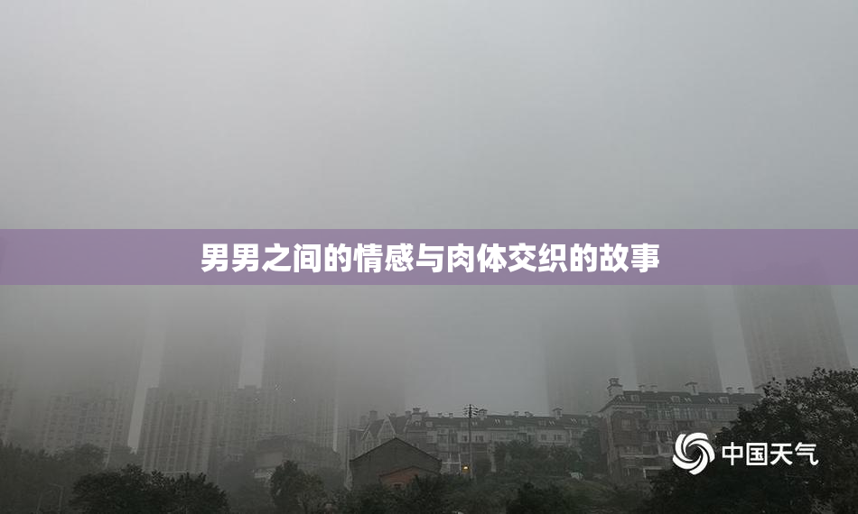 男男之间的情感与肉体交织的故事