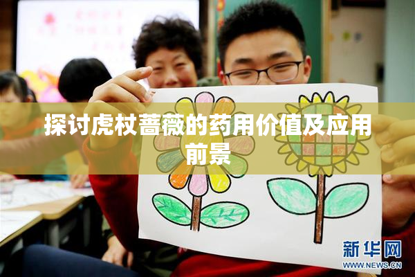 探讨虎杖蔷薇的药用价值及应用前景