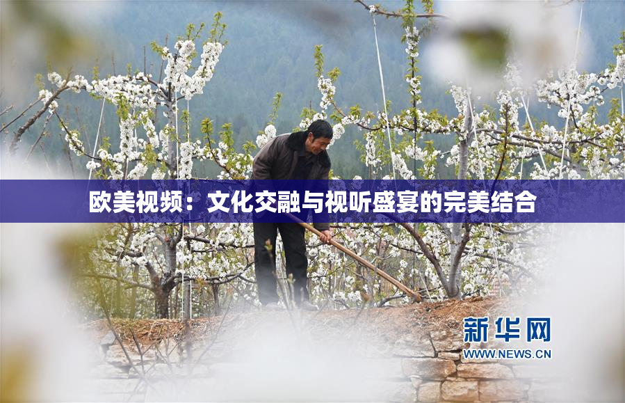 欧美视频：文化交融与视听盛宴的完美结合