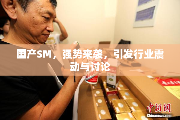 国产SM，强势来袭，引发行业震动与讨论