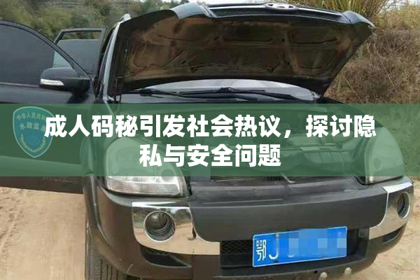 成人码秘引发社会热议，探讨隐私与安全问题