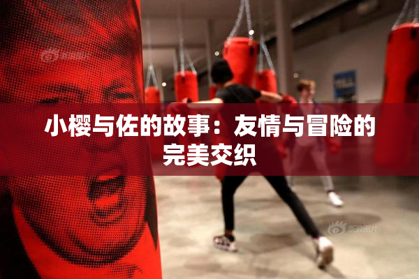 小樱与佐的故事：友情与冒险的完美交织