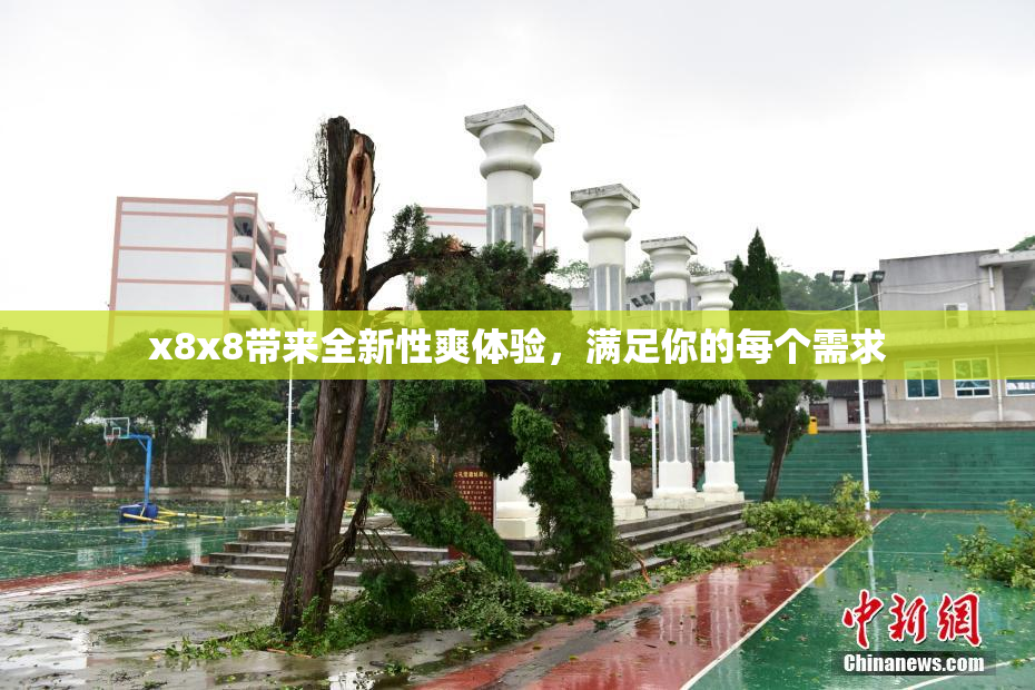 x8x8带来全新性爽体验，满足你的每个需求