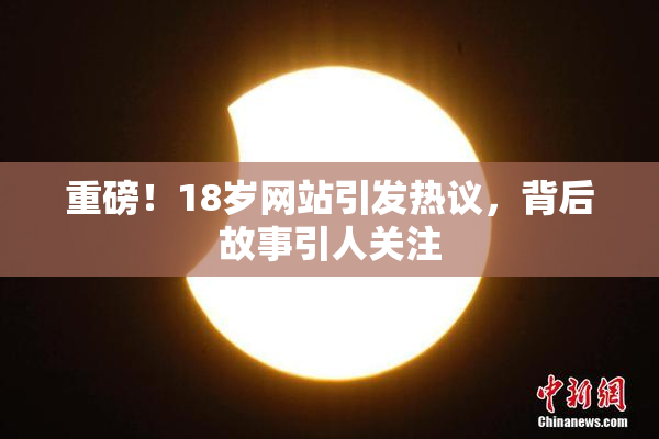 重磅！18岁网站引发热议，背后故事引人关注