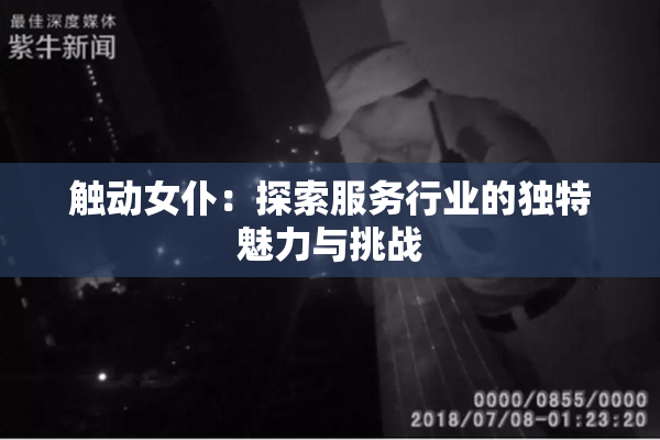 触动女仆：探索服务行业的独特魅力与挑战