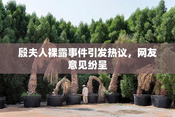 殷夫人裸露事件引发热议，网友意见纷呈