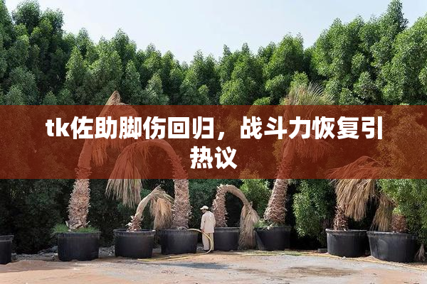 tk佐助脚伤回归，战斗力恢复引热议