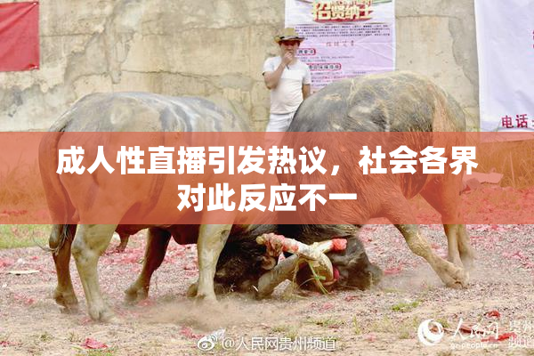 成人性直播引发热议，社会各界对此反应不一