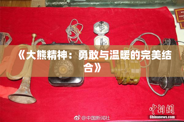 《大熊精神：勇敢与温暖的完美结合》
