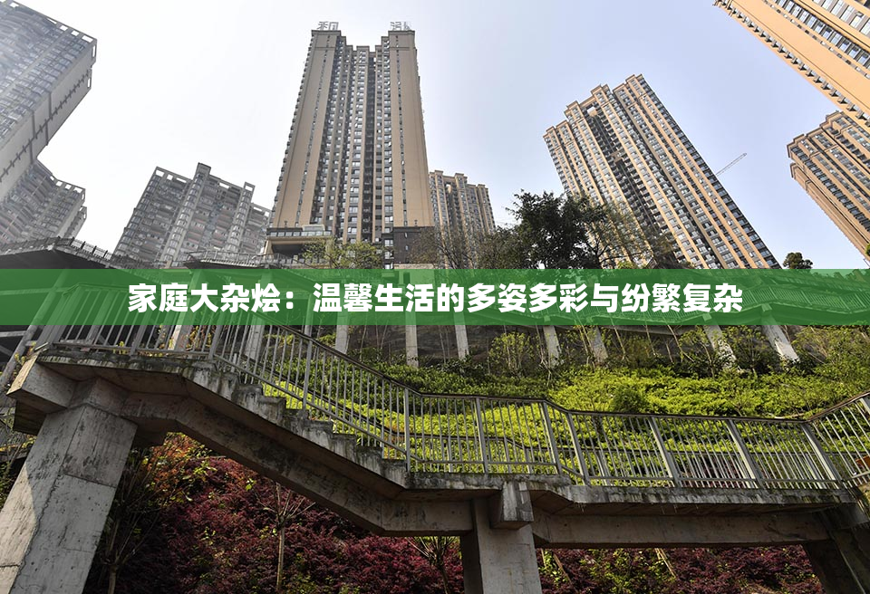 家庭大杂烩：温馨生活的多姿多彩与纷繁复杂