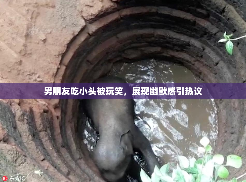 男朋友吃小头被玩笑，展现幽默感引热议
