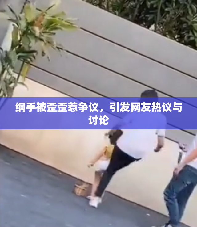 纲手被歪歪惹争议，引发网友热议与讨论