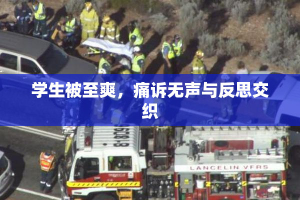学生被至爽，痛诉无声与反思交织