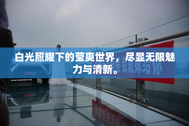 白光照耀下的莹爽世界，尽显无限魅力与清新。