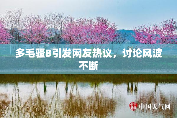 多毛骚B引发网友热议，讨论风波不断