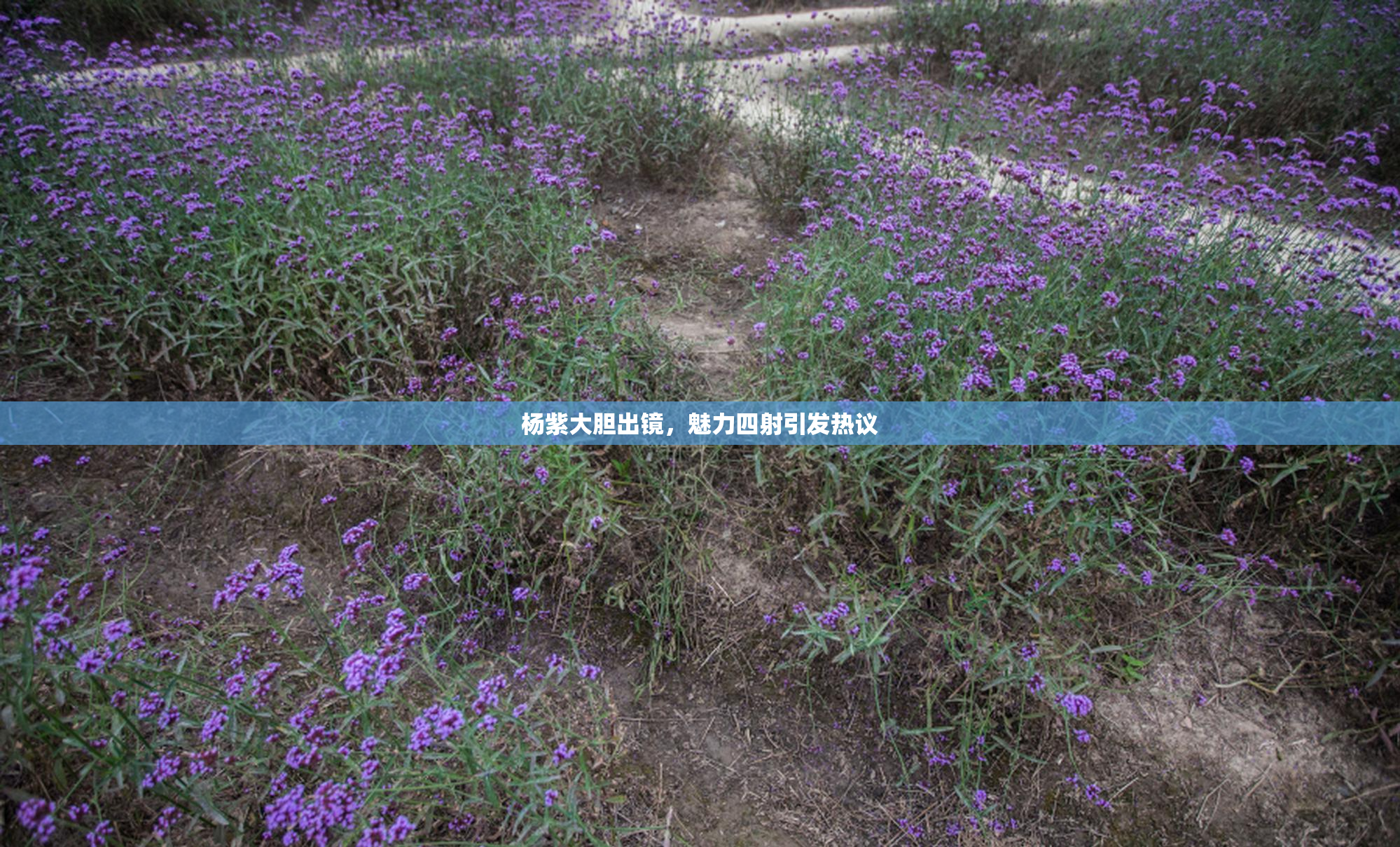 杨紫大胆出镜，魅力四射引发热议