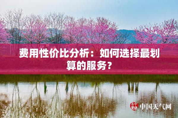 费用性价比分析：如何选择最划算的服务？
