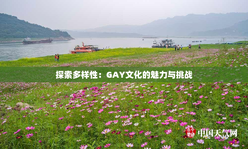 探索多样性：GAY文化的魅力与挑战