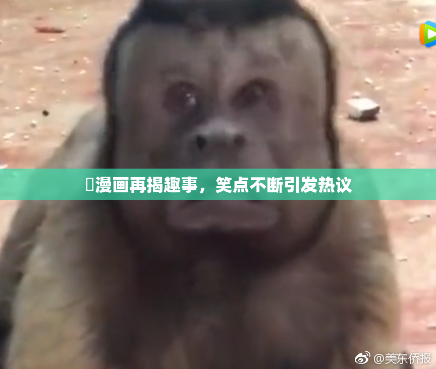 囧漫画再揭趣事，笑点不断引发热议