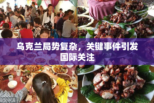 乌克兰局势复杂，关键事件引发国际关注