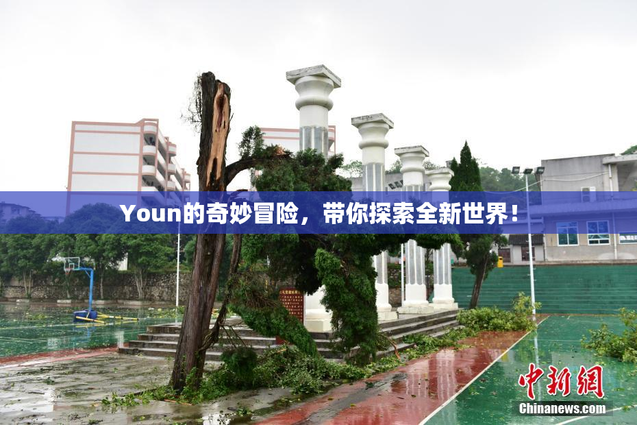 Youn的奇妙冒险，带你探索全新世界！