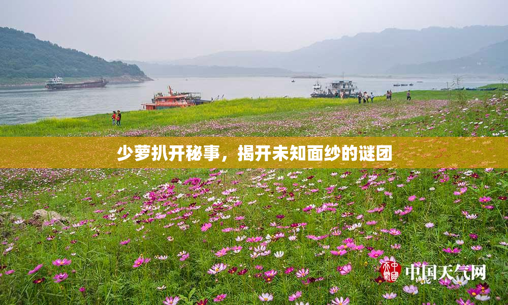 少萝扒开秘事，揭开未知面纱的谜团