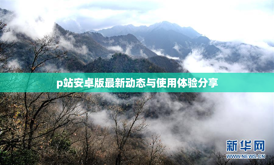 p站安卓版最新动态与使用体验分享