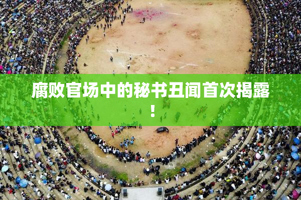 腐败官场中的秘书丑闻首次揭露！