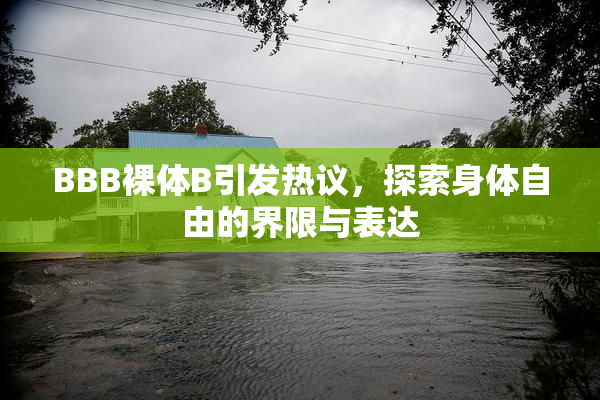 BBB裸体B引发热议，探索身体自由的界限与表达