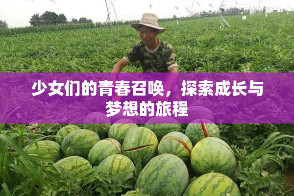 少女们的青春召唤，探索成长与梦想的旅程