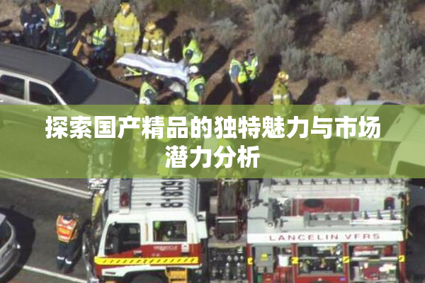 探索国产精品的独特魅力与市场潜力分析