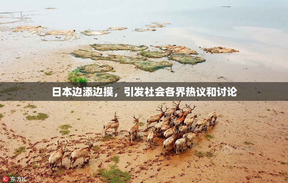 日本边添边摸，引发社会各界热议和讨论