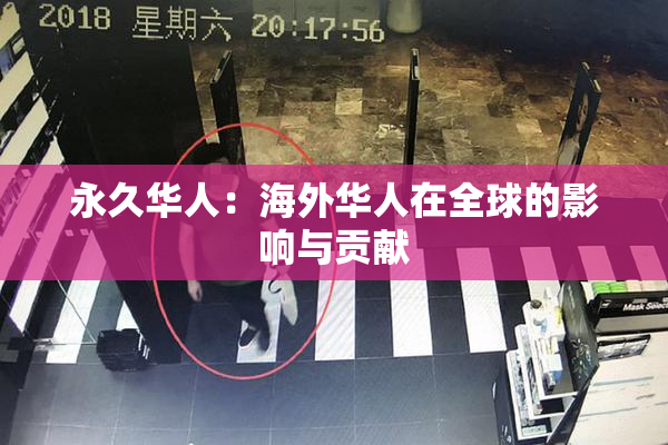 永久华人：海外华人在全球的影响与贡献
