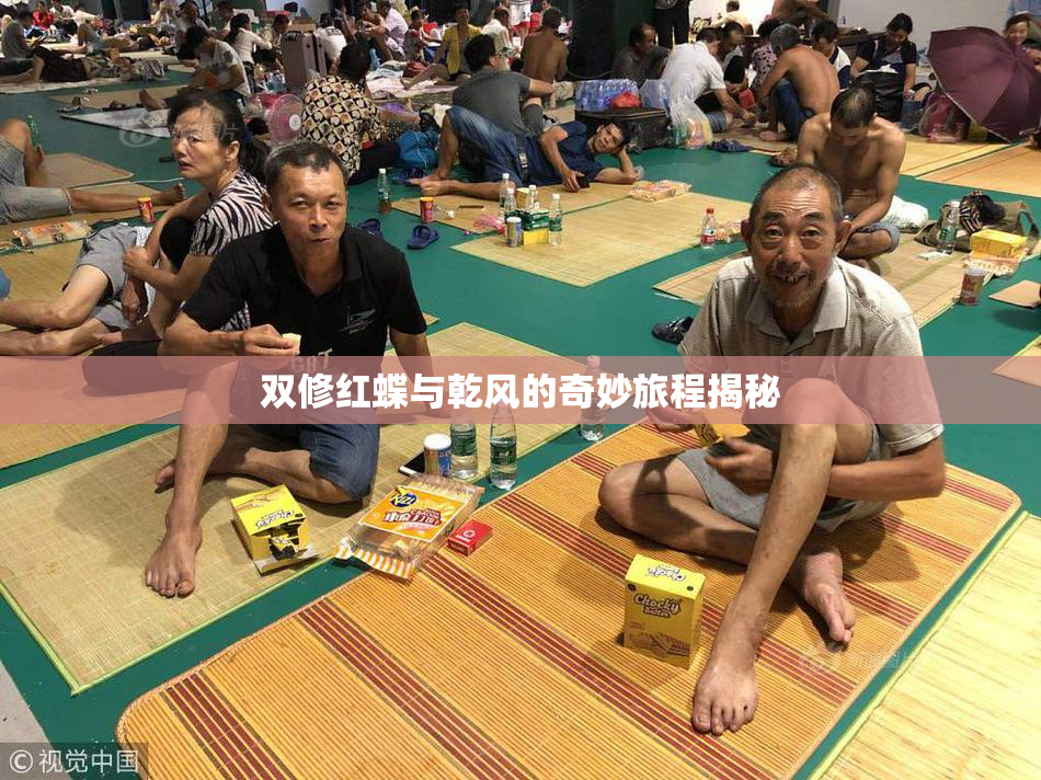 双修红蝶与乾风的奇妙旅程揭秘