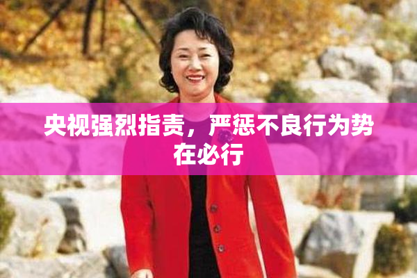 央视强烈指责，严惩不良行为势在必行