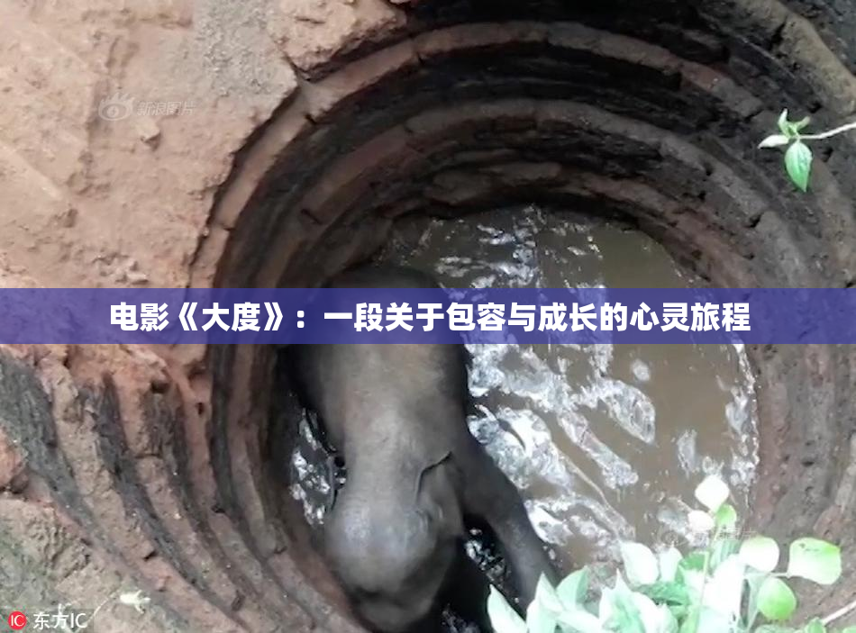 电影《大度》：一段关于包容与成长的心灵旅程