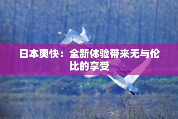 日本爽快：全新体验带来无与伦比的享受