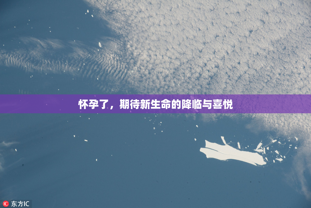 怀孕了，期待新生命的降临与喜悦