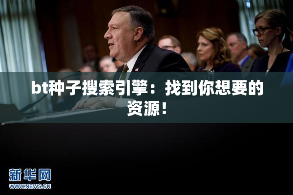 bt种子搜索引擎：找到你想要的资源！