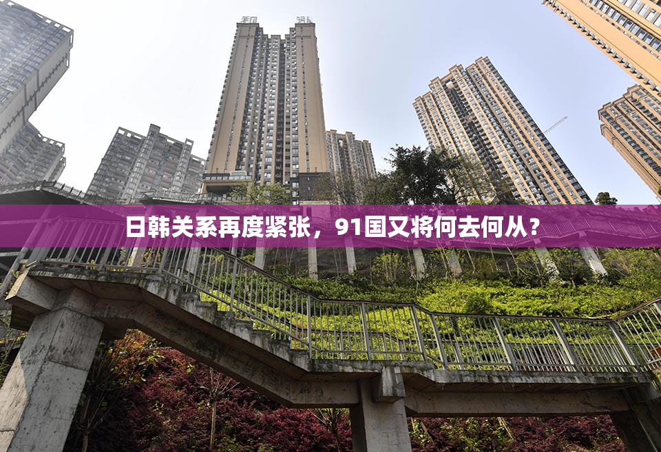 日韩关系再度紧张，91国又将何去何从？