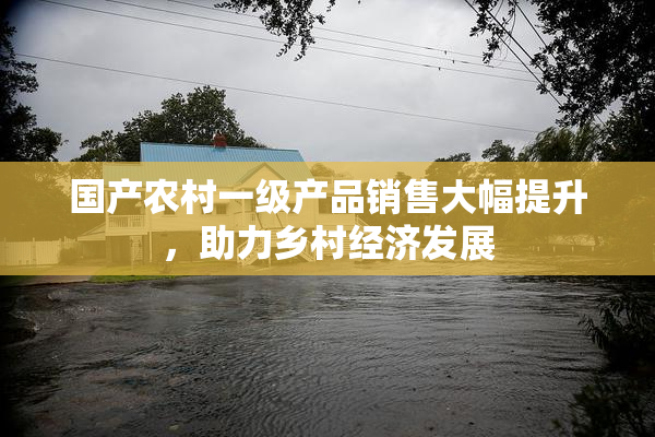 国产农村一级产品销售大幅提升，助力乡村经济发展