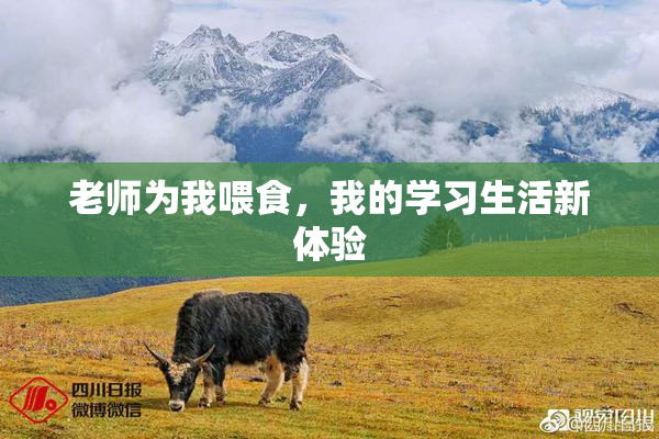 老师为我喂食，我的学习生活新体验