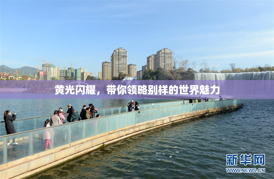 黄光闪耀，带你领略别样的世界魅力