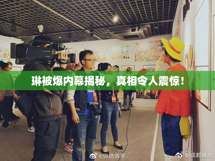 琳被爆内幕揭秘，真相令人震惊！