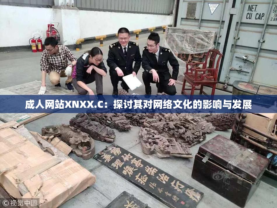 成人网站XNXX.C：探讨其对网络文化的影响与发展