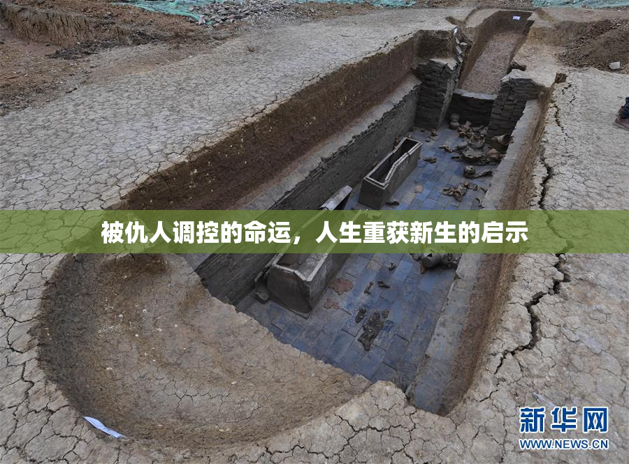 被仇人调控的命运，人生重获新生的启示