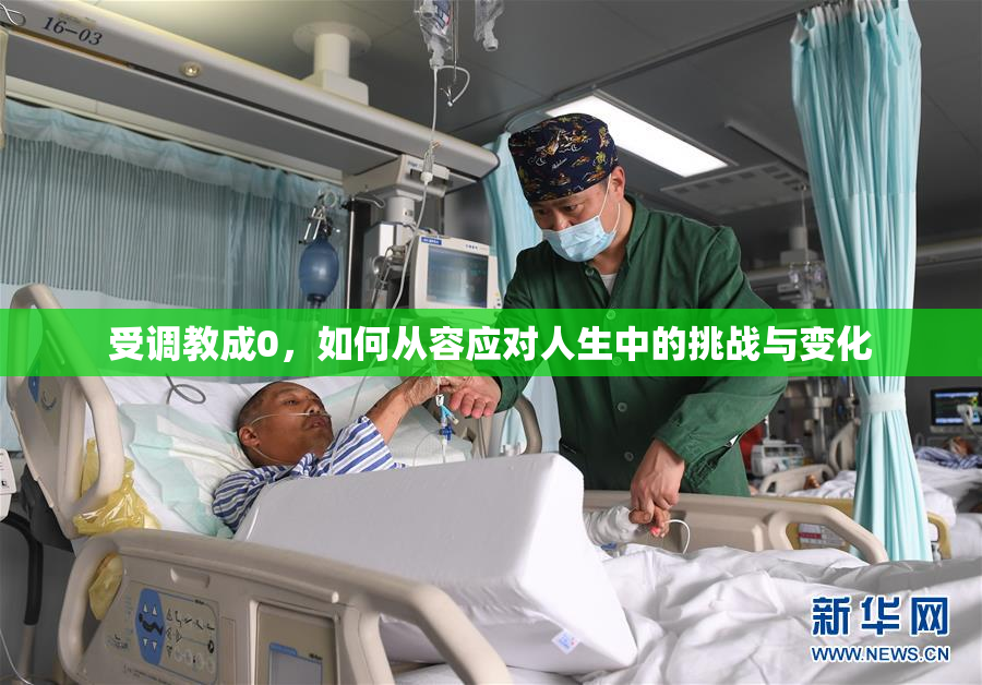 受调教成0，如何从容应对人生中的挑战与变化